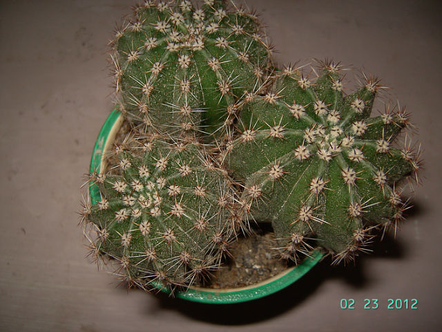 getImage (3).jpg