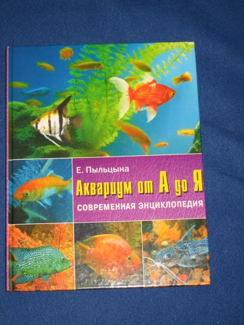 IMG_1861.JPG
