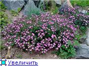 мил1.jpg