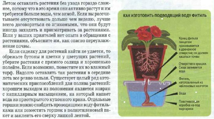 фитильный полив.jpg