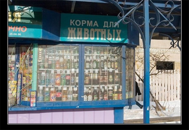 корма.jpg