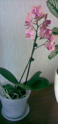09.jpg
