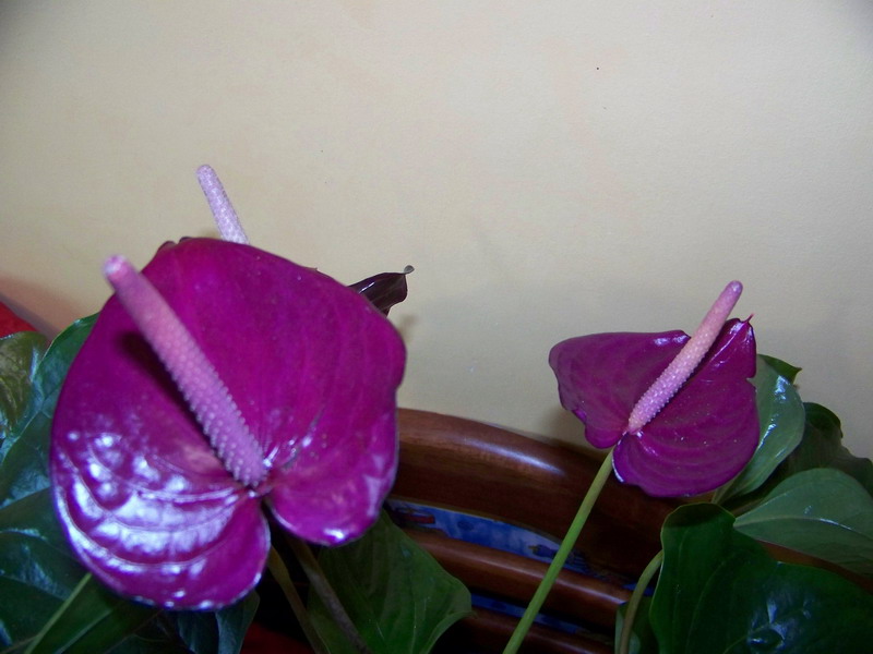 100_1771.jpg