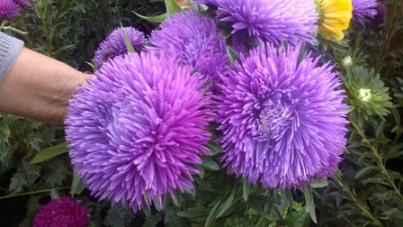 2012-08-28-152.jpg