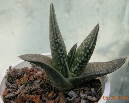 DSCN8901.JPG