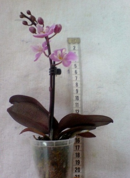 DSC00011.JPG