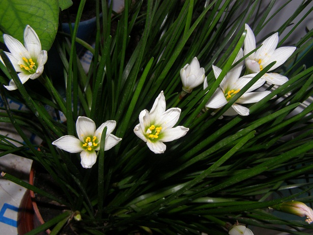 P9240766.JPG