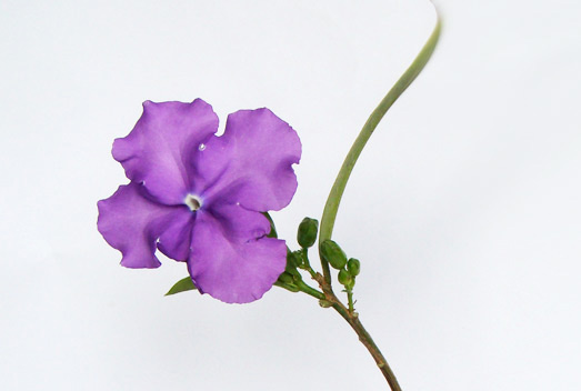 3260ccbd8947.jpg