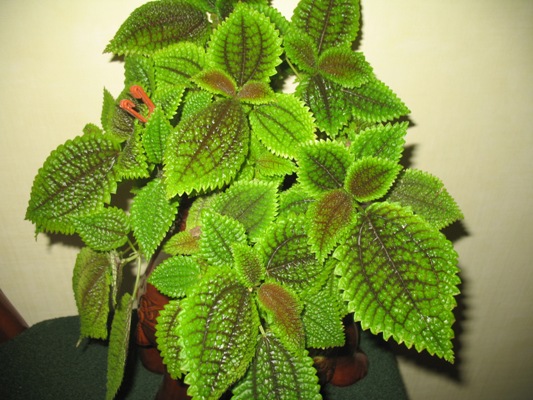 9.01.2010 018.jpg