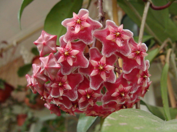 DSC07277.jpg
