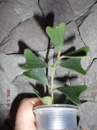 DSCF5099.JPG