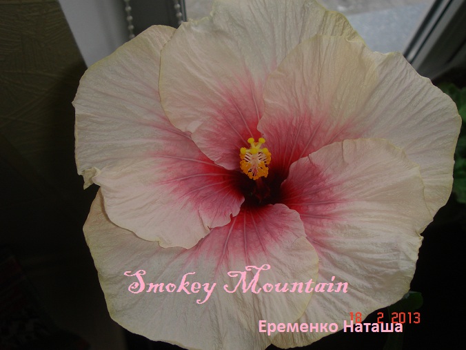 Smokey Mountain.jpg