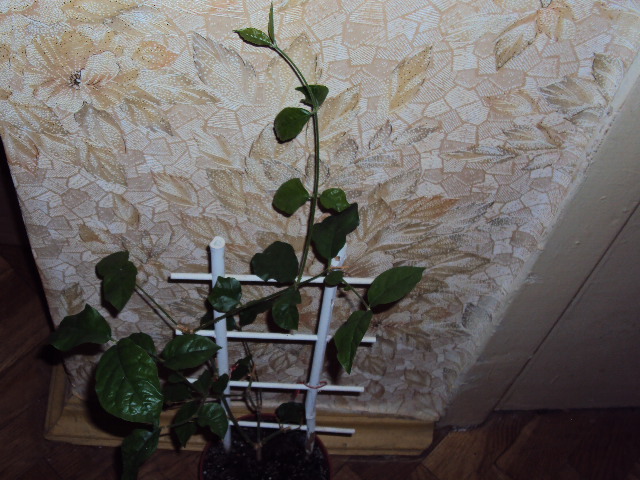 DSC05681.JPG