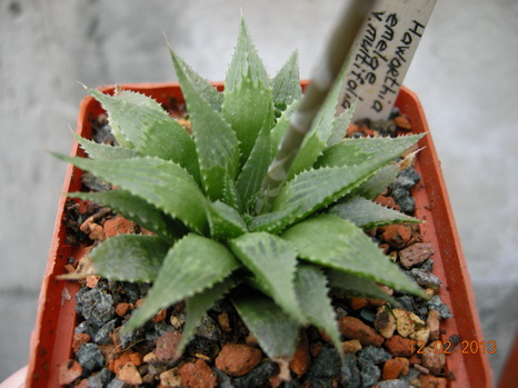 DSCN1228.JPG