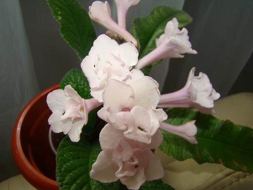 DSC01916.JPG