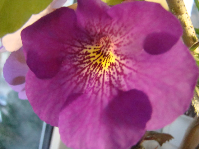 DSC04390.JPG