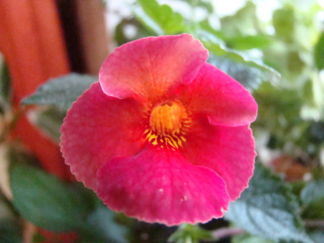 DSC04608.JPG