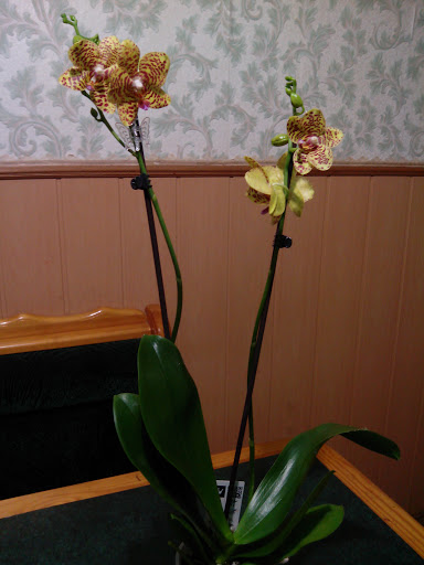 IMG_20130214_231956.jpg