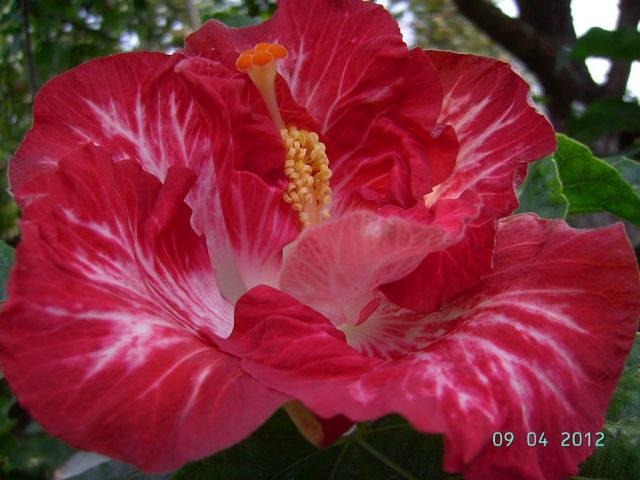 getImage (2).jpg