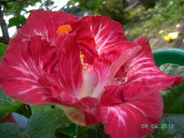 getImage (1).jpg