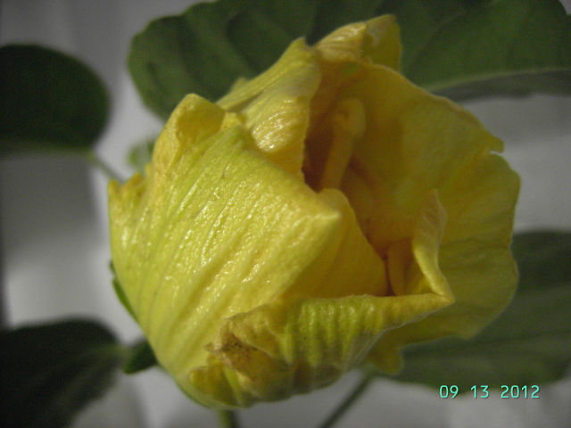 getImage (1).jpg