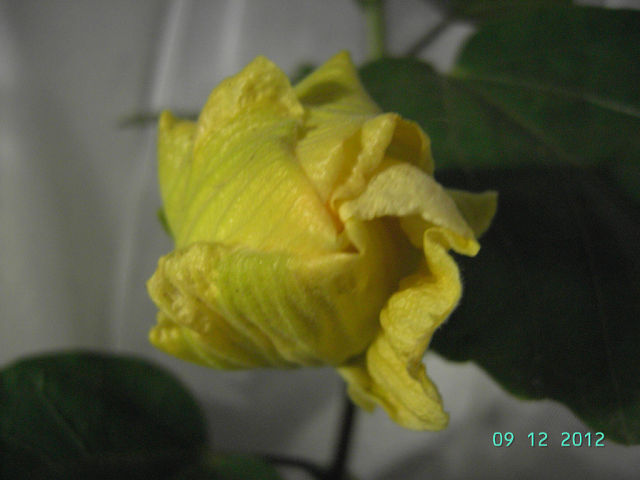 getImage (8).jpg