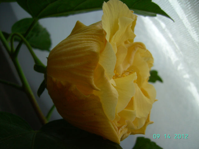 getImage (4).jpg