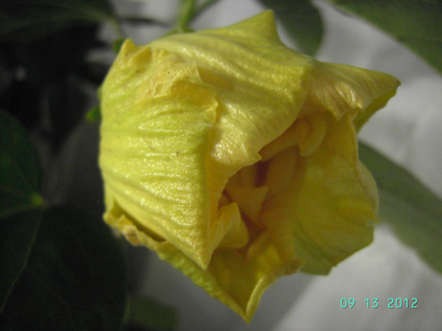 getImage (3).jpg