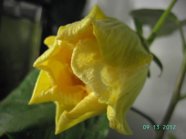getImage (2).jpg