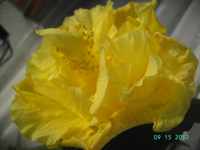 getImage (7).jpg