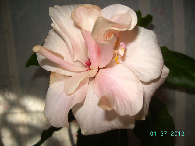 getImage (1).jpg