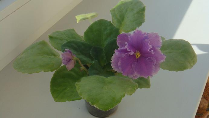 DSC09273.JPG