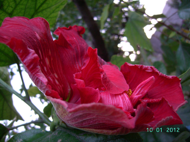 getImage (1).jpg
