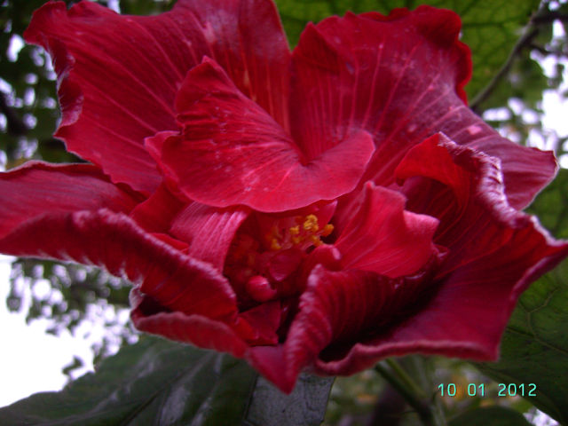 getImage (3).jpg