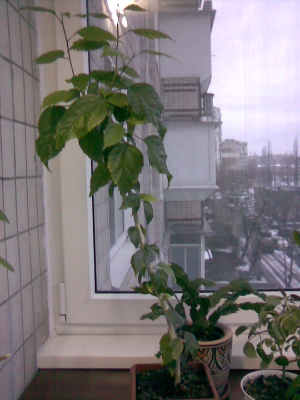 Image0-06.jpg