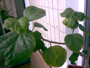 Image005.jpg