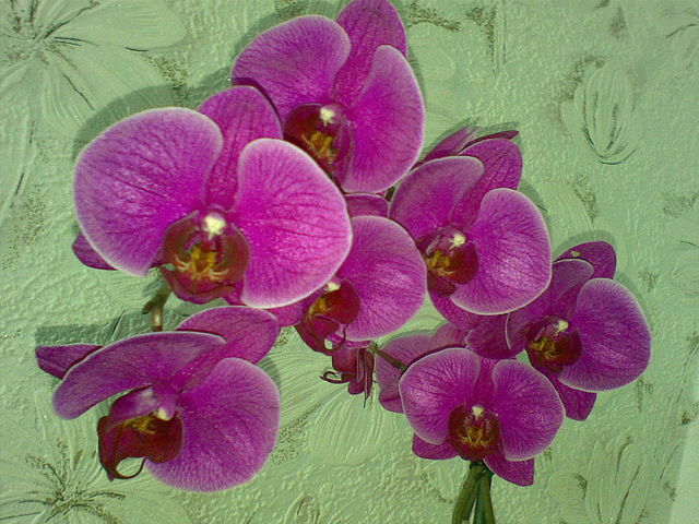 getImage (91).jpg