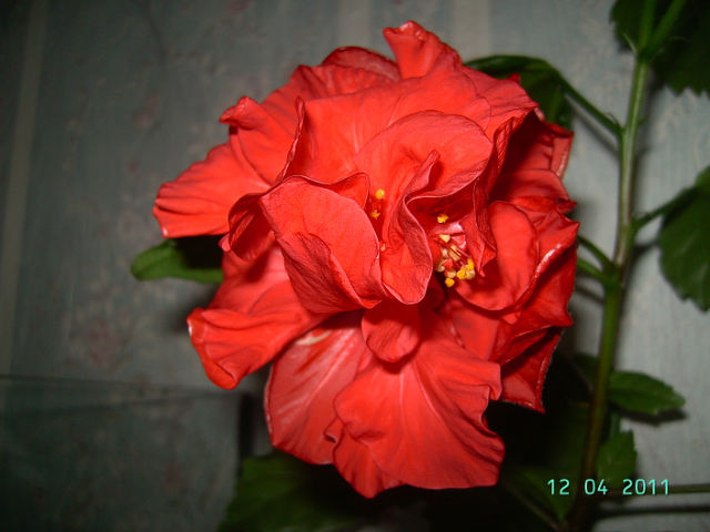 getImage (73).jpg