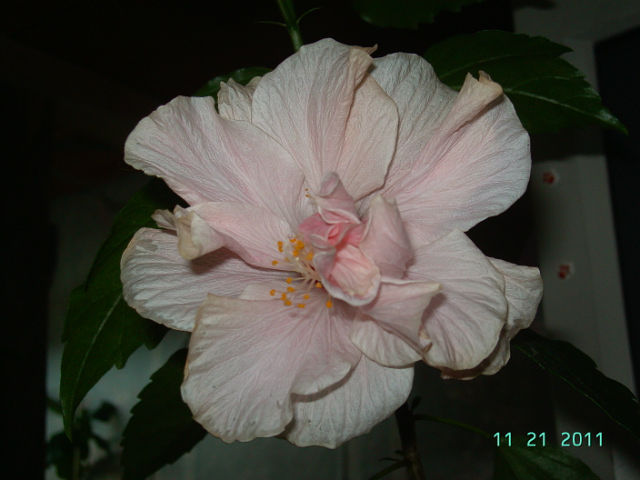 getImage (72).jpg
