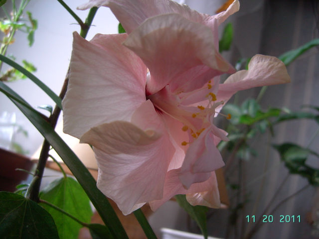 getImage (70).jpg