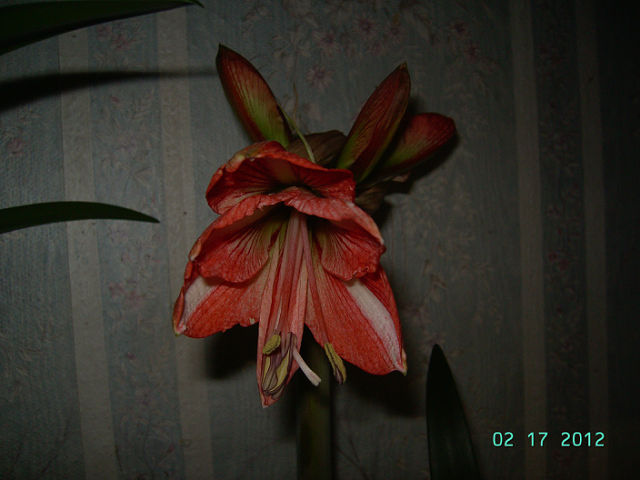 getImage (42).jpg