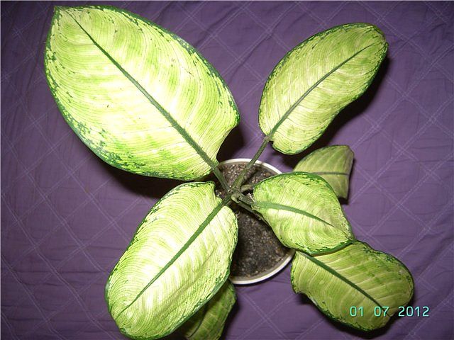 getImage (29).jpg