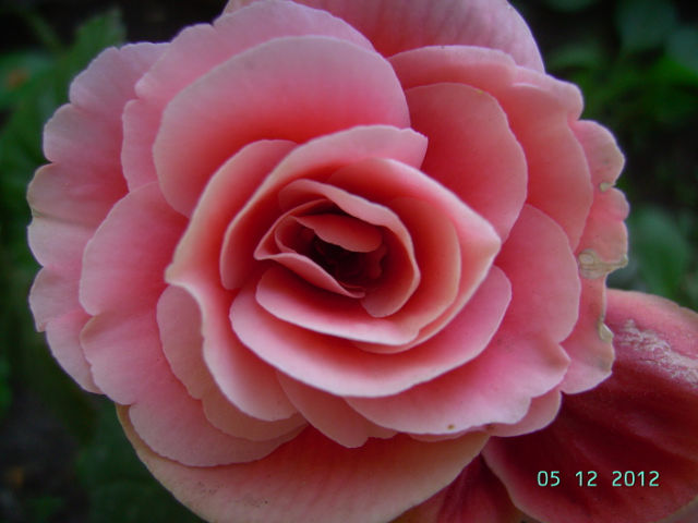 getImage (26).jpg