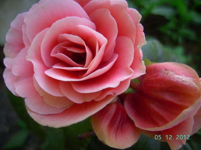 getImage (25).jpg