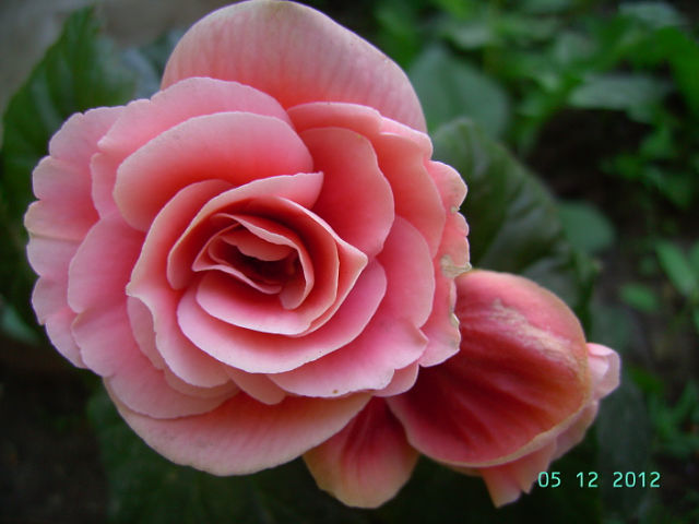 getImage (24).jpg