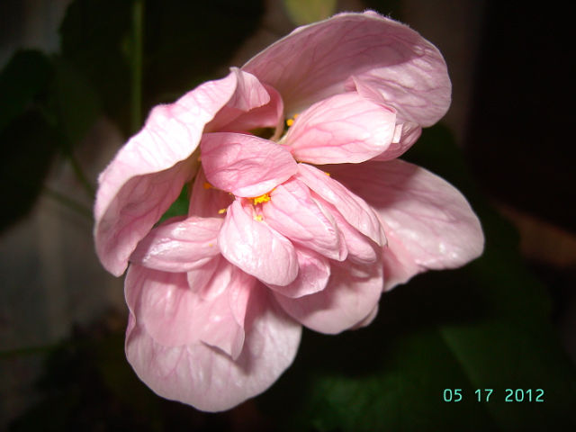 getImage (23).jpg