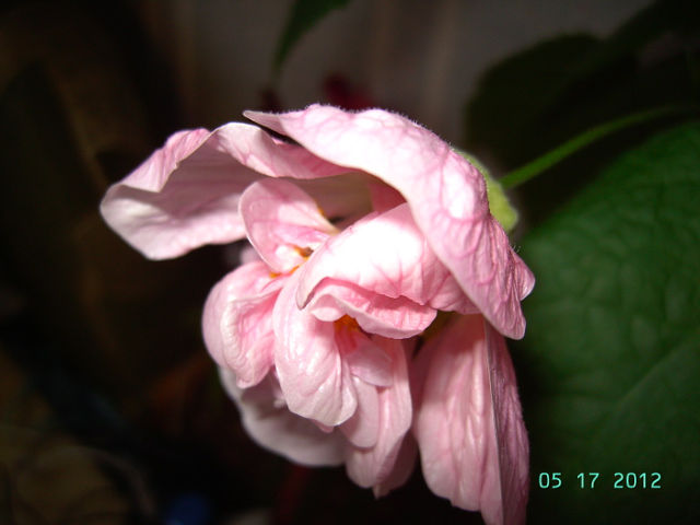 getImage (22).jpg