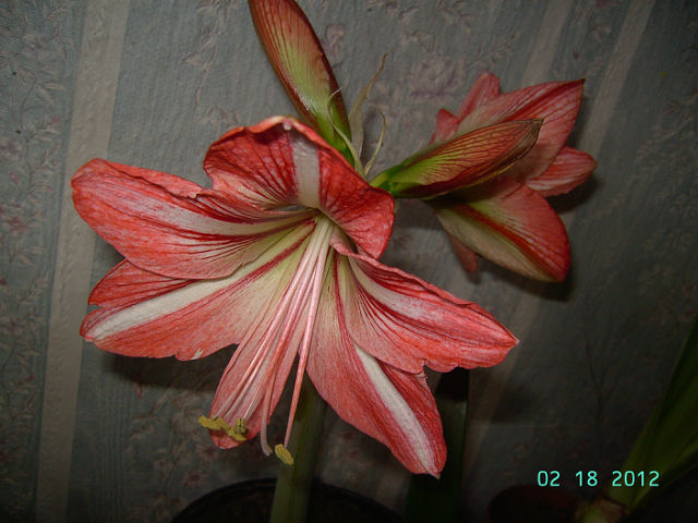 getImage (30).jpg