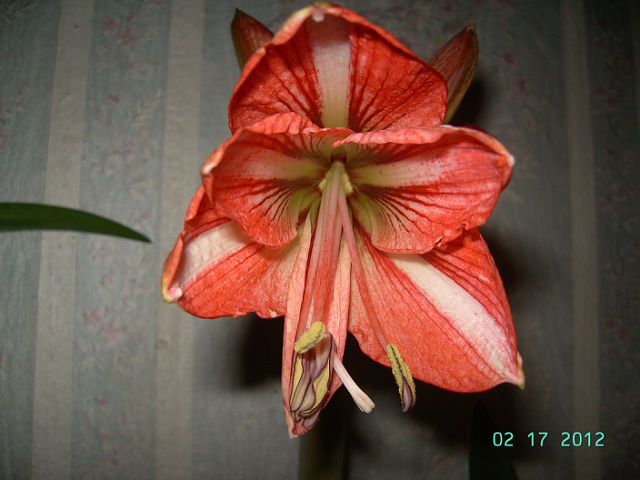 getImage (29).jpg