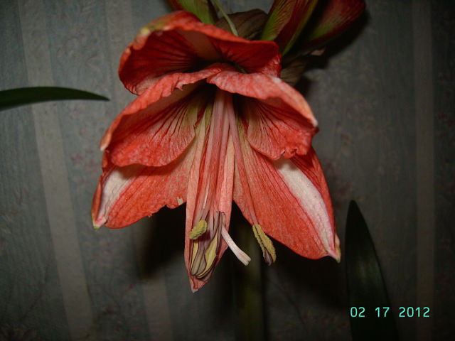 getImage (27).jpg